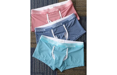 Mens Ice Silk Elephant Nose Boxer Briefs Pouch Underwear 3 pairs