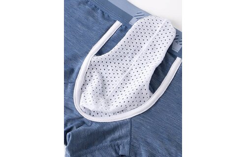 Mens Ice Silk Elephant Nose Boxer Briefs Pouch Underwear 3 pairs