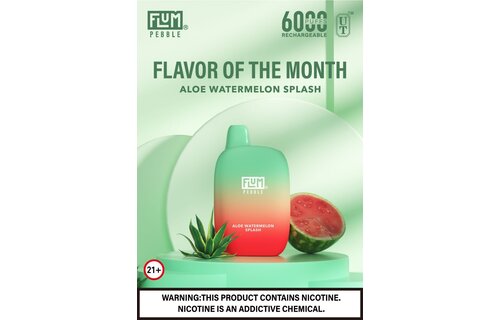 Flum - Disposable Vape PEBBLE Rechargeable 6000 Puffs