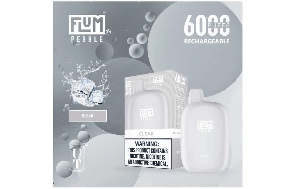 Flum - Disposable Vape PEBBLE Rechargeable 6000 Puffs