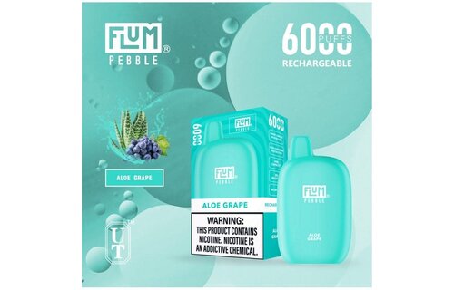 Flum - Disposable Vape PEBBLE Rechargeable 6000 Puffs