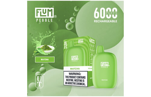 Flum - Disposable Vape PEBBLE Rechargeable 6000 Puffs