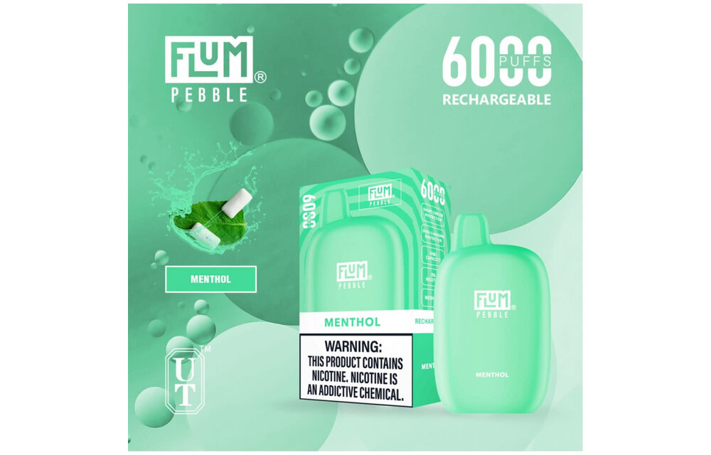 Flum - Disposable Vape PEBBLE Rechargeable 6000 Puffs