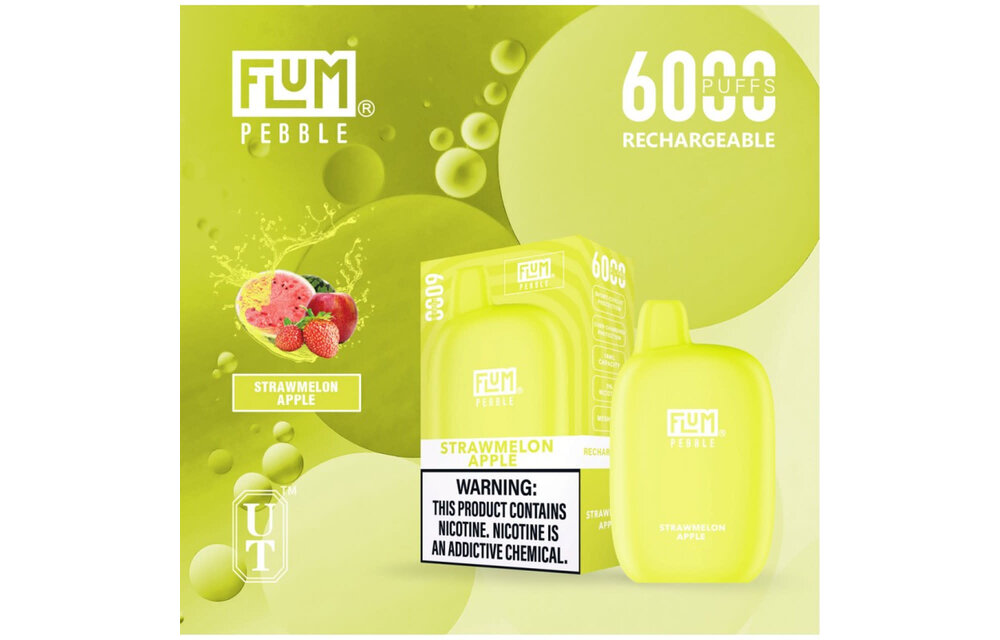 Flum - Disposable Vape PEBBLE Rechargeable 6000 Puffs