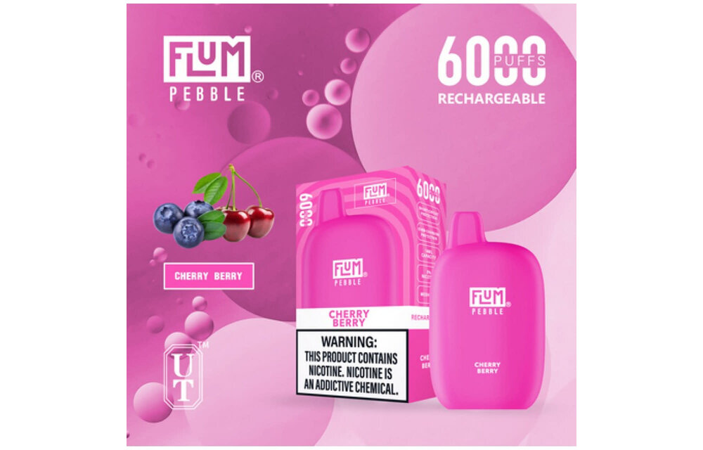 Flum - Disposable Vape PEBBLE Rechargeable 6000 Puffs