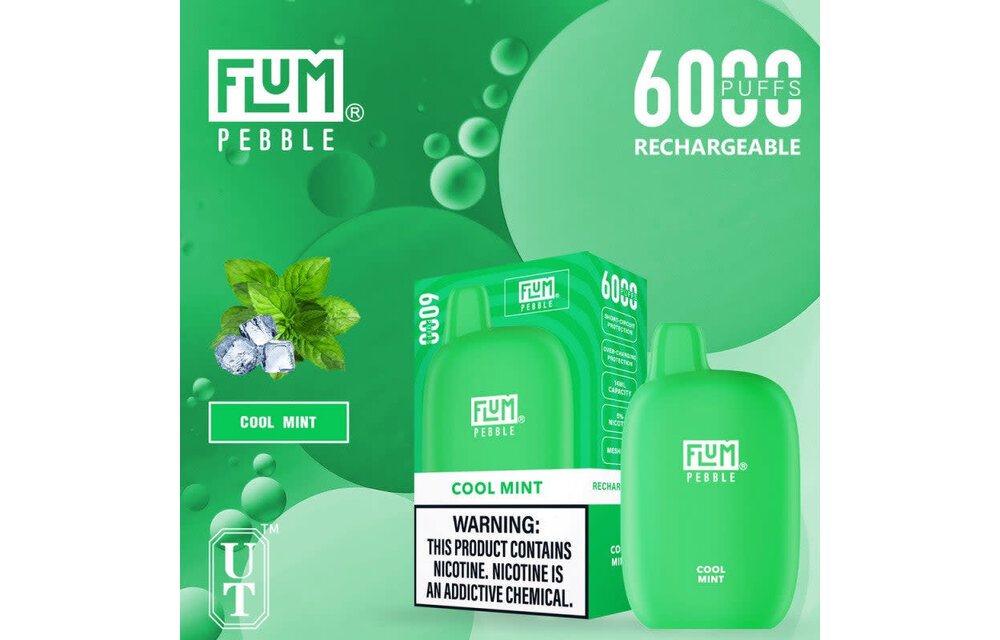 Flum - Disposable Vape PEBBLE Rechargeable 6000 Puffs
