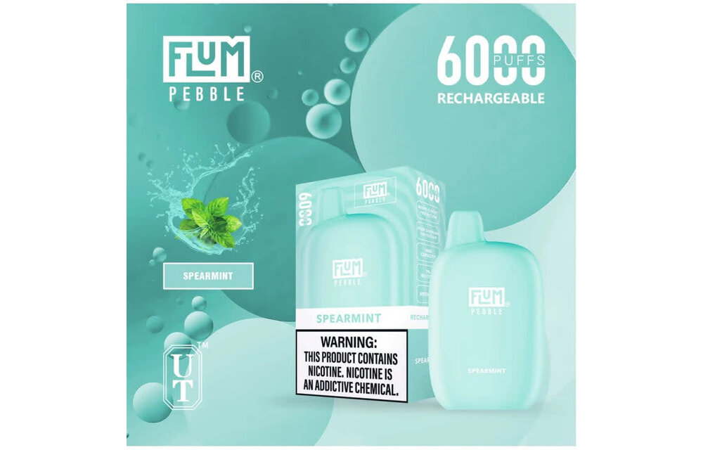 Flum - Disposable Vape PEBBLE Rechargeable 6000 Puffs