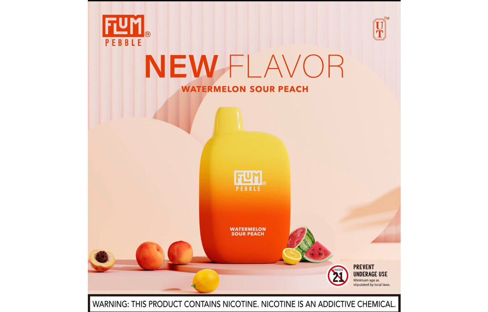 Flum - Disposable Vape PEBBLE Rechargeable 6000 Puffs