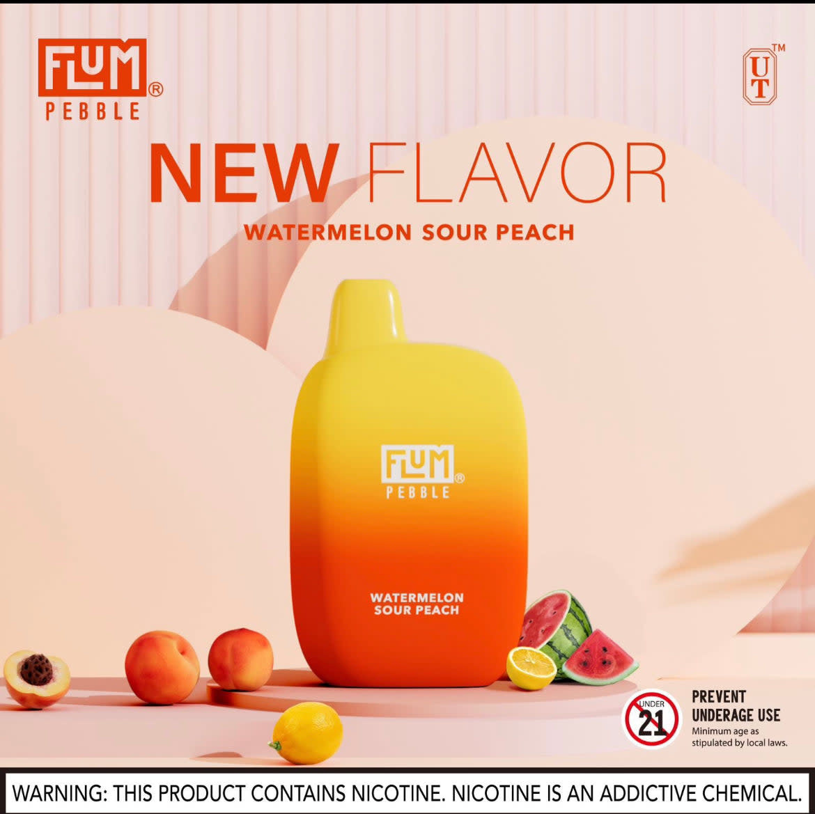 Flum - Disposable Vape PEBBLE Rechargeable 6000 Puffs