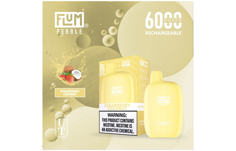 Flum - Disposable Vape PEBBLE Rechargeable 6000 Puffs