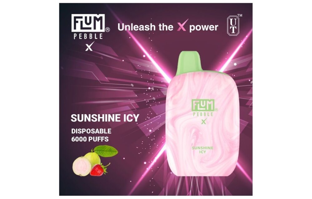 Flum - Disposable Mesh Coil Vape PEBBLE X Non-Rechargeable 6000 Puffs