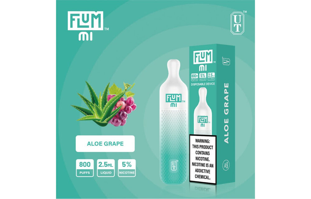 Flum - Disposable Vape Pen MI 800