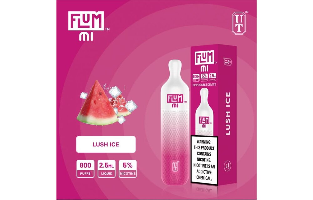 Flum - Disposable Vape Pen MI 800