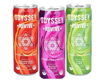 Odyssey - Sparkling Mushroom Elixir REVIVE Caffeine 0mg 12oz