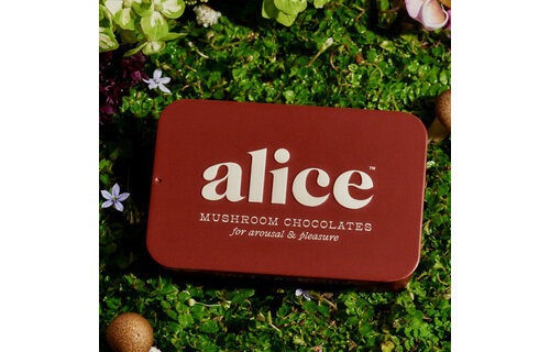 Alice - Mushroom Chocolates 16ct