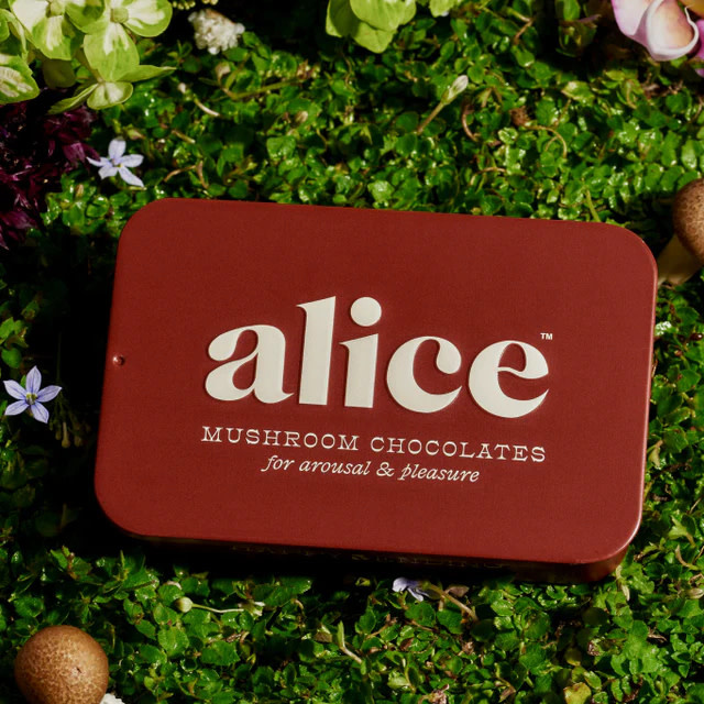 Alice - Mushroom Chocolates 16ct