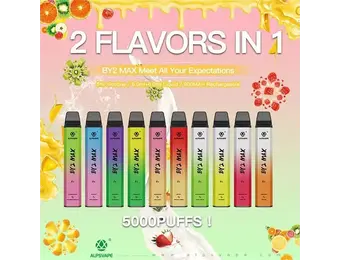 AlpsVape - Disposable Vape BY 2 MAX 2 in 1 Rechargeable 5000 Puffs