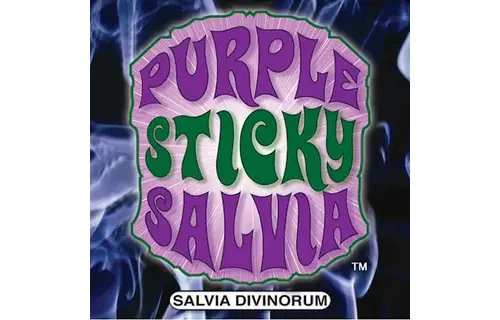 Purple Sticky Brand - Salvia 1g