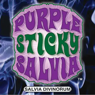 Purple Sticky Brand - Salvia 1g