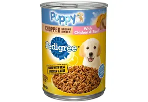 Pedigree - Dog Food Puppy Canned 13.2oz Chicken & Beef
