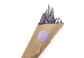 Seattle Seed Company - Dried Grosso Long Stem Flowers French Lavender Fragrant