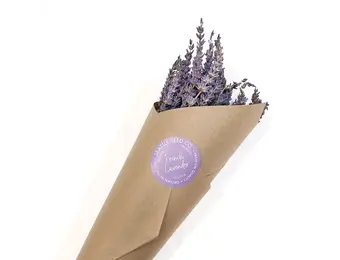 Seattle Seed Company - Dried Grosso Long Stem Flowers French Lavender Fragrant