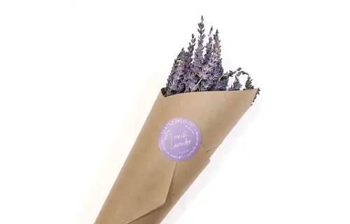 Seattle Seed Company - Dried Grosso Long Stem Flowers French Lavender Fragrant