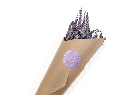 Seattle Seed Company - Dried Grosso Long Stem Flowers French Lavender Fragrant