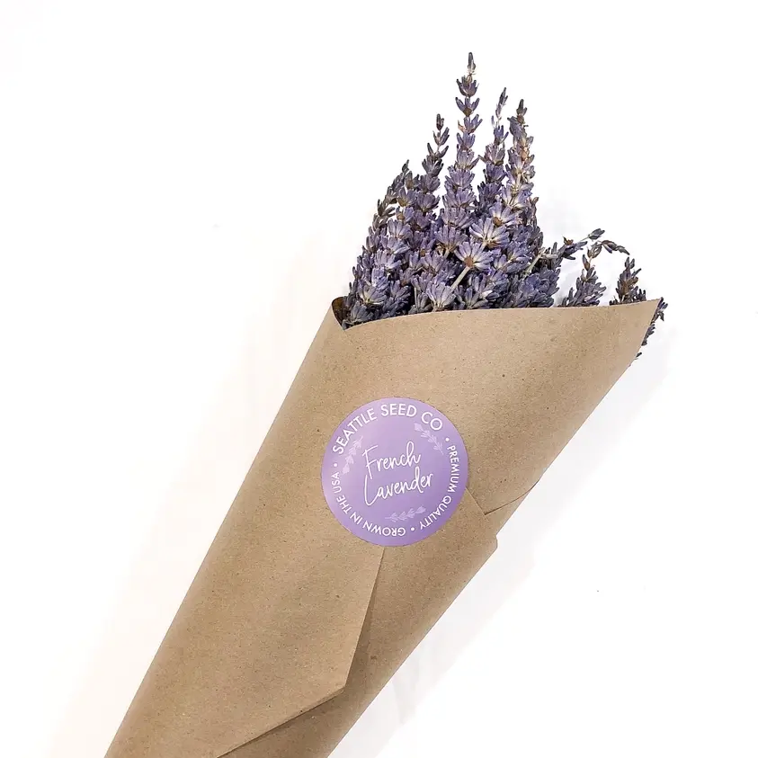 Seattle Seed Company - Dried Grosso Long Stem Flowers French Lavender Fragrant