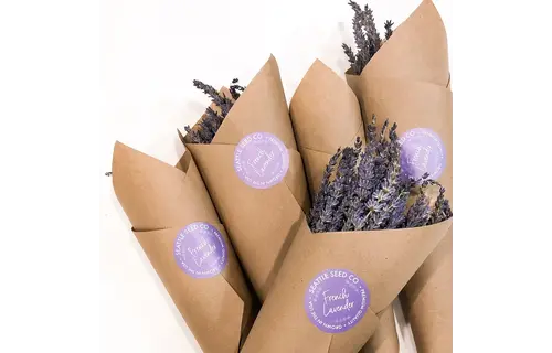 Seattle Seed Company - Dried Grosso Long Stem Flowers French Lavender Fragrant