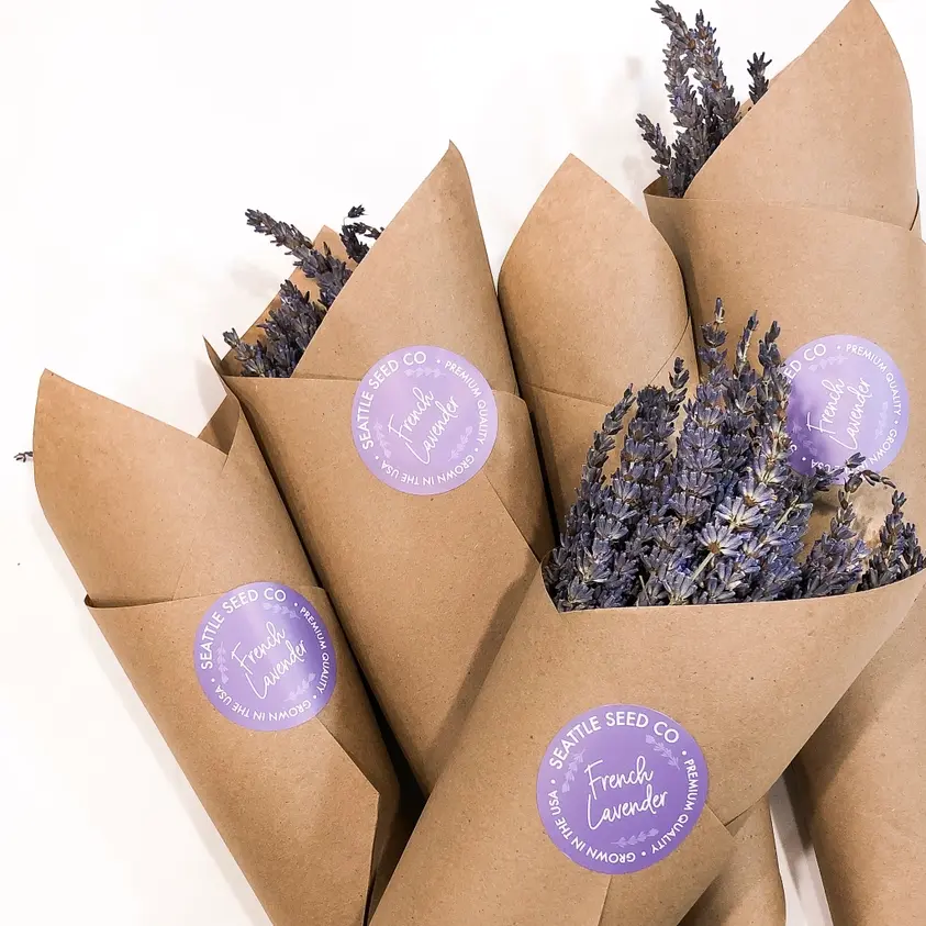Seattle Seed Company - Dried Grosso Long Stem Flowers French Lavender Fragrant