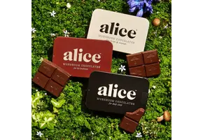 Alice - Mushroom Chocolates 16ct