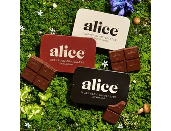 Alice - Mushroom Chocolates 16ct