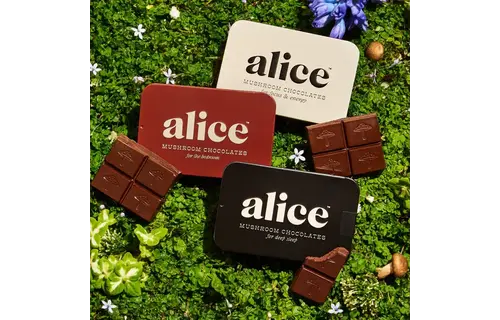 Alice - Mushroom Chocolates 16ct