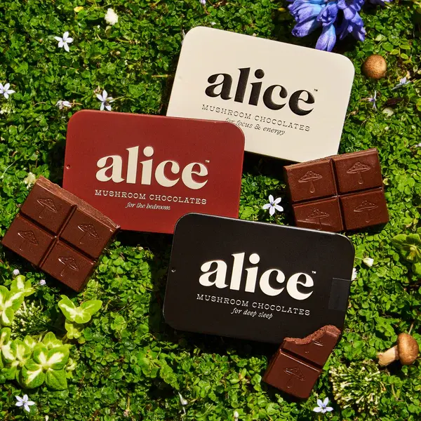 Alice - Mushroom Chocolates 16ct
