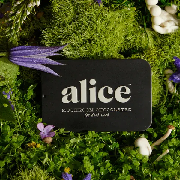 Alice - Mushroom Chocolates 16ct
