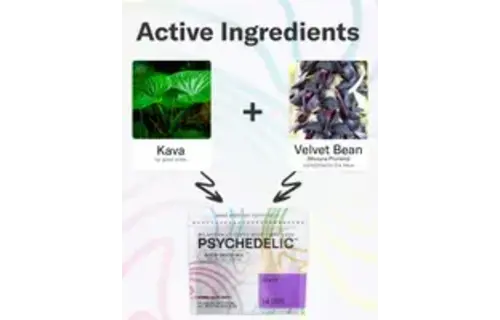 Psychedelic Water - Kava + Velvet Bean Good Mood Mix GRAPE Pouch 7.6g