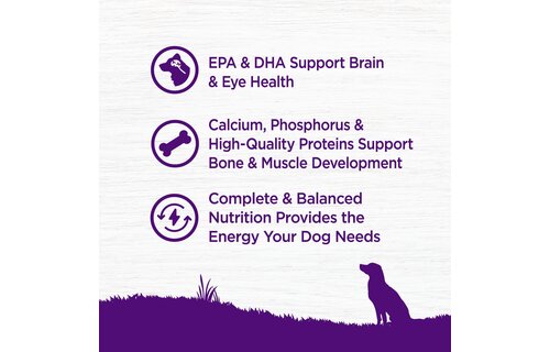 Orijen - Premium Dog Food Puppy Large 22.5lbs All Large & Giant Puppy Breeds