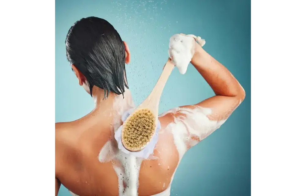 Pursonic - Dry Brush & Mesh Sponge Combo with Lotus Wooden Handle Dual Action