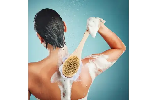 Pursonic - Dry Brush & Mesh Sponge Combo with Lotus Wooden Handle Dual Action