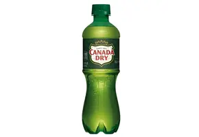 Canada Dry - Soda Beverage Ginger Ale 16.9oz