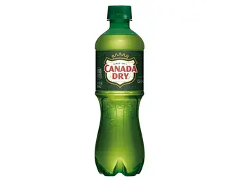 Canada Dry - Soda Beverage Ginger Ale 16.9oz