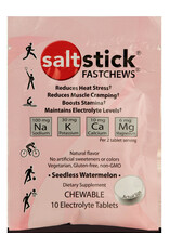 Salt Stick SALT STICK FAST CHEWS 10 CT