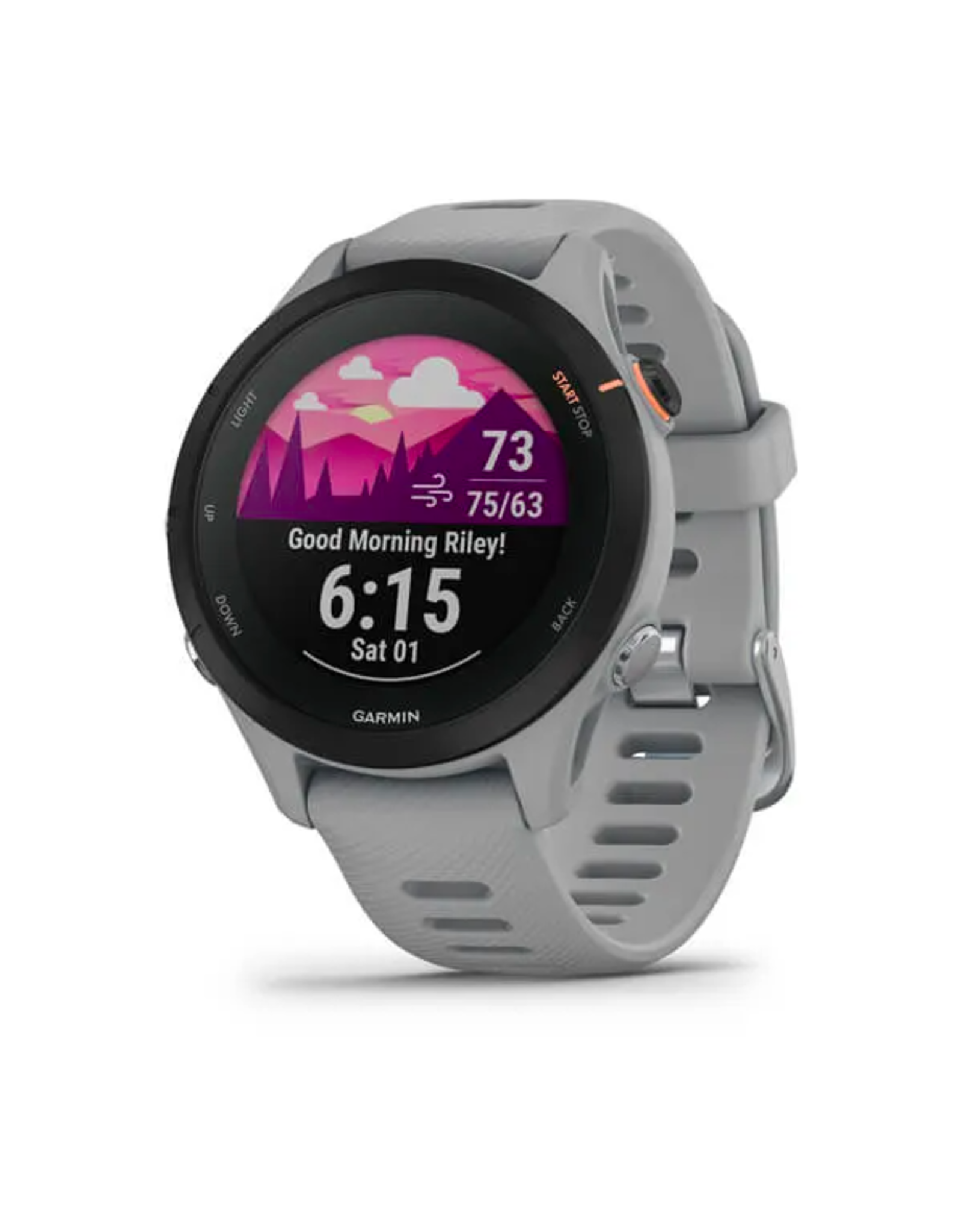 Garmin International FORERUNNER 255S