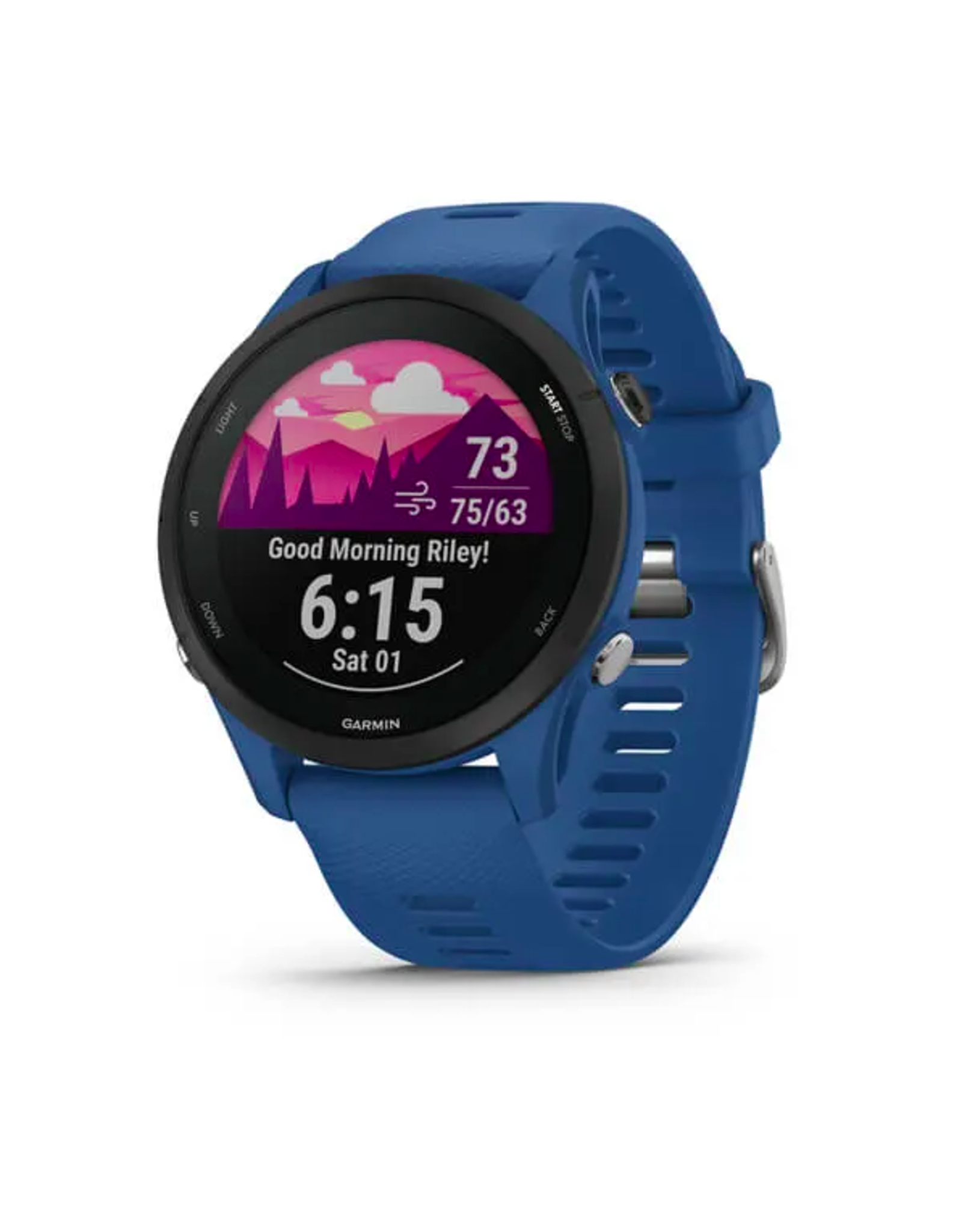 Garmin International FORERUNNER 255