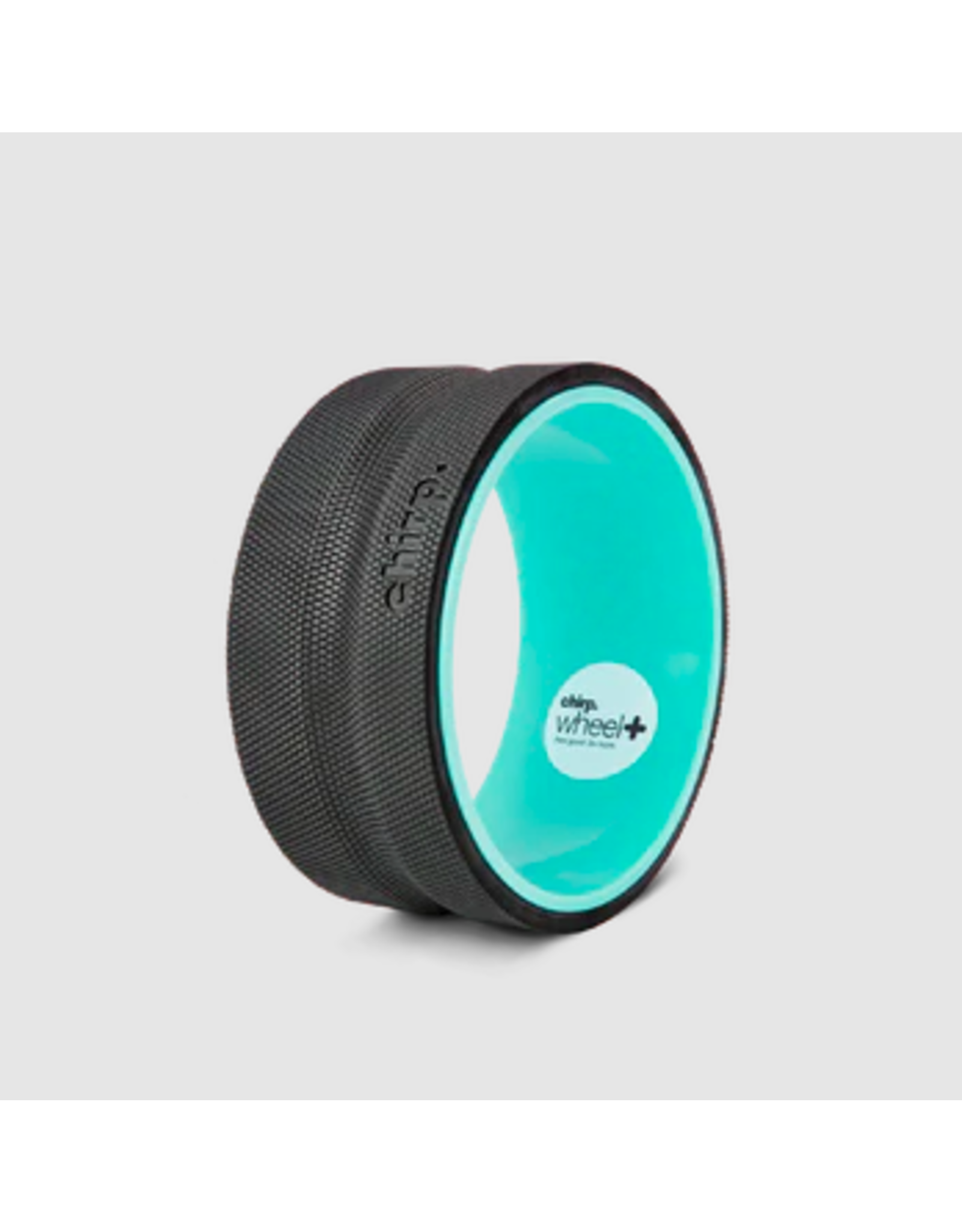 Chirp 10 inch Wheel Plus