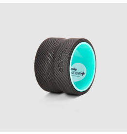 Chirp 6 inch Wheel Plus