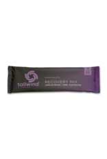 TAILWIND STICK PACK RECOVERY CHOCOLATE