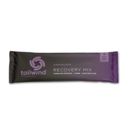 TAILWIND STICK PACK RECOVERY CHOCOLATE