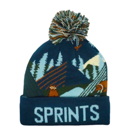 Sprints Bears Winter Hat
